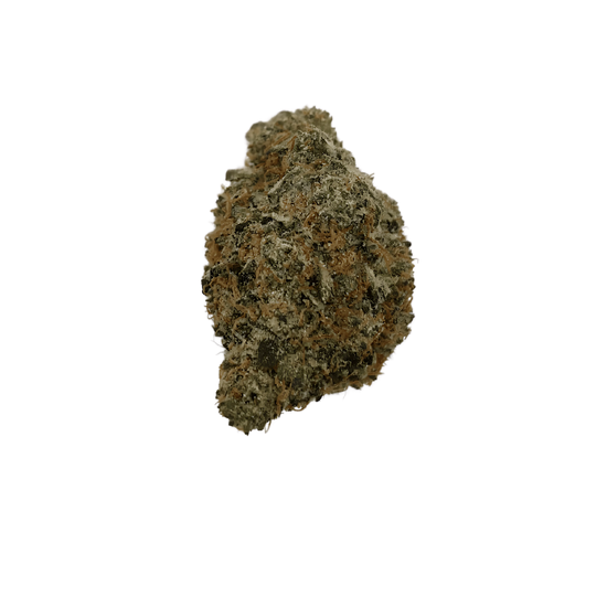 Sativa